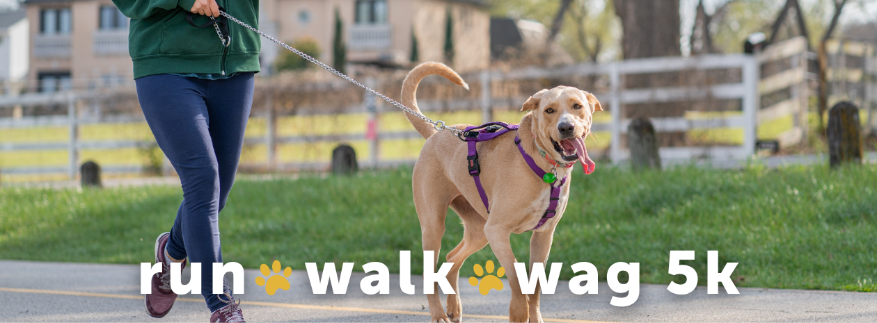 Run, Walk, Wag 5K